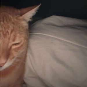 Meet your Posher, Rae